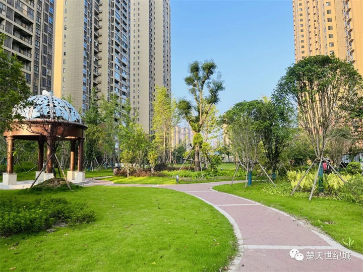 楚天世纪城：开启优雅生活