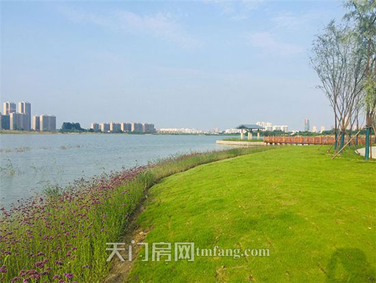 荣归南德荟景湾 带你看尽家乡繁华万象