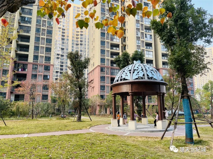 在天门，这才是人居应有的姿态