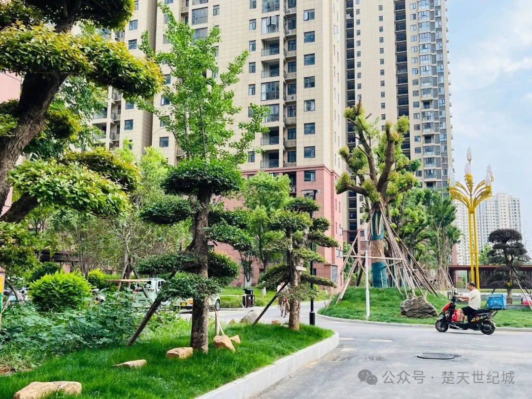 来了就不想走了，好喜欢天门这个小区！