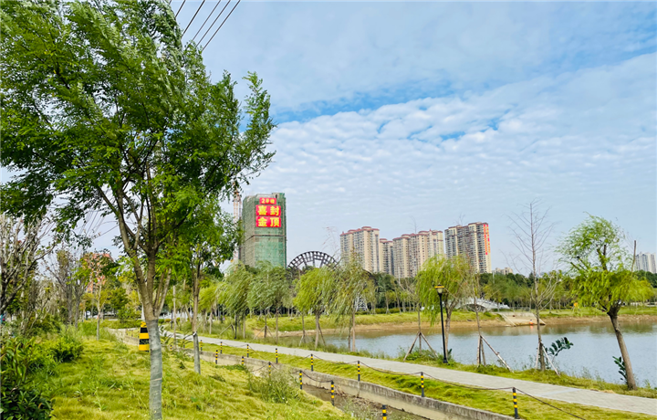 碧水园·锦城：生活的乐趣，就藏在你家楼下！