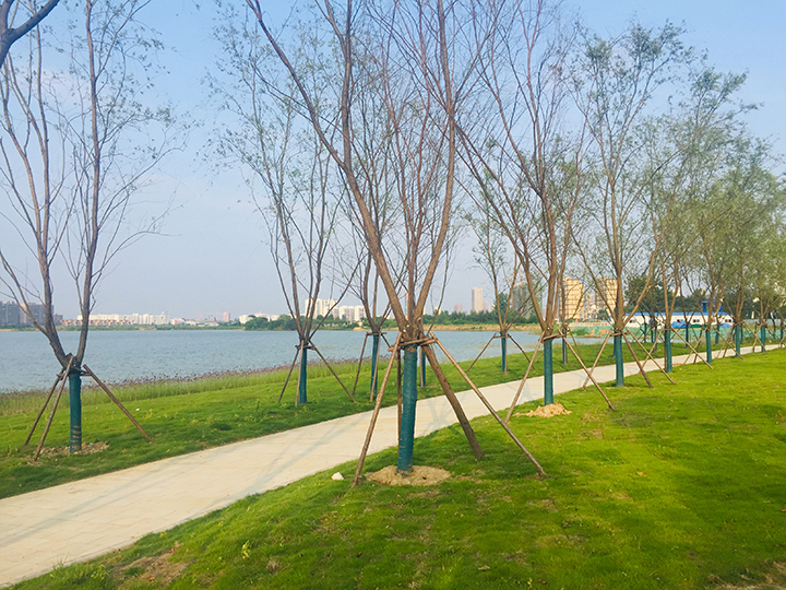 什么样的配套会撩人？天禧花园告诉你答案！