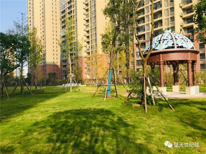 万达开业了，看这个自带流量属性的红盘 ！