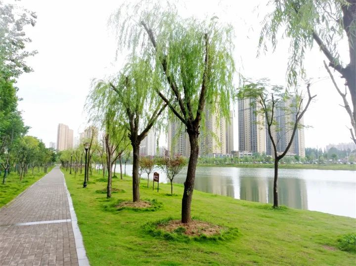 实探天门小南湖公园，旁边的这个楼盘值得推荐！