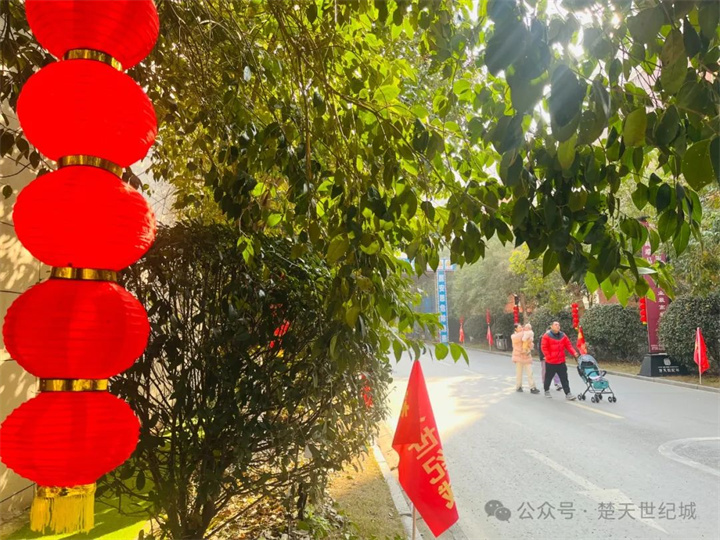 楚天世纪城：大红灯笼高高挂，满苑点染中国红