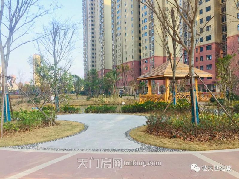 优雅家园•楚天世纪城12月工程进度来啦