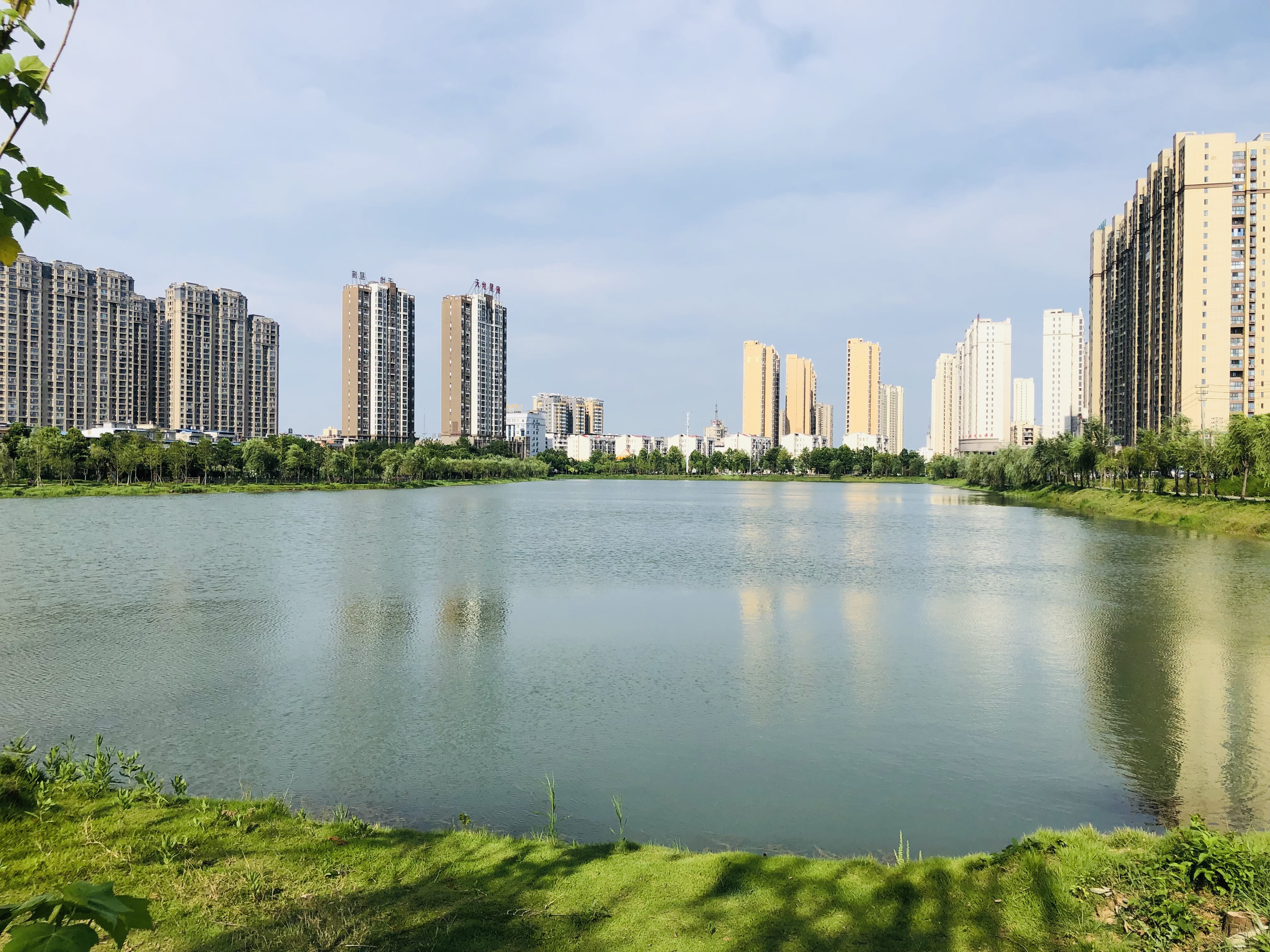 当期许已久的春天，溜进了碧水园·锦城