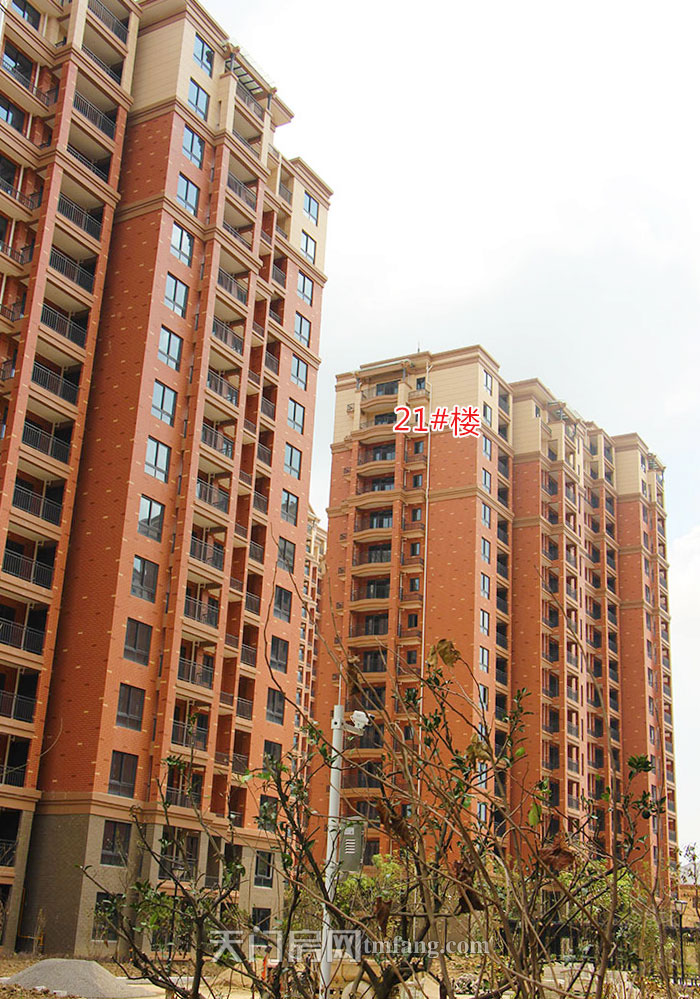 华泰学府春天7月工程进度