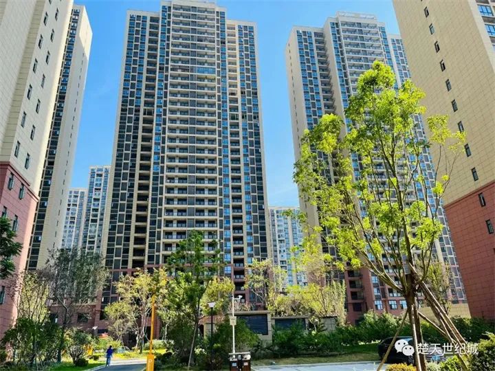 实力红盘！在天门，买房就当选这样有地段有品质的楼盘！