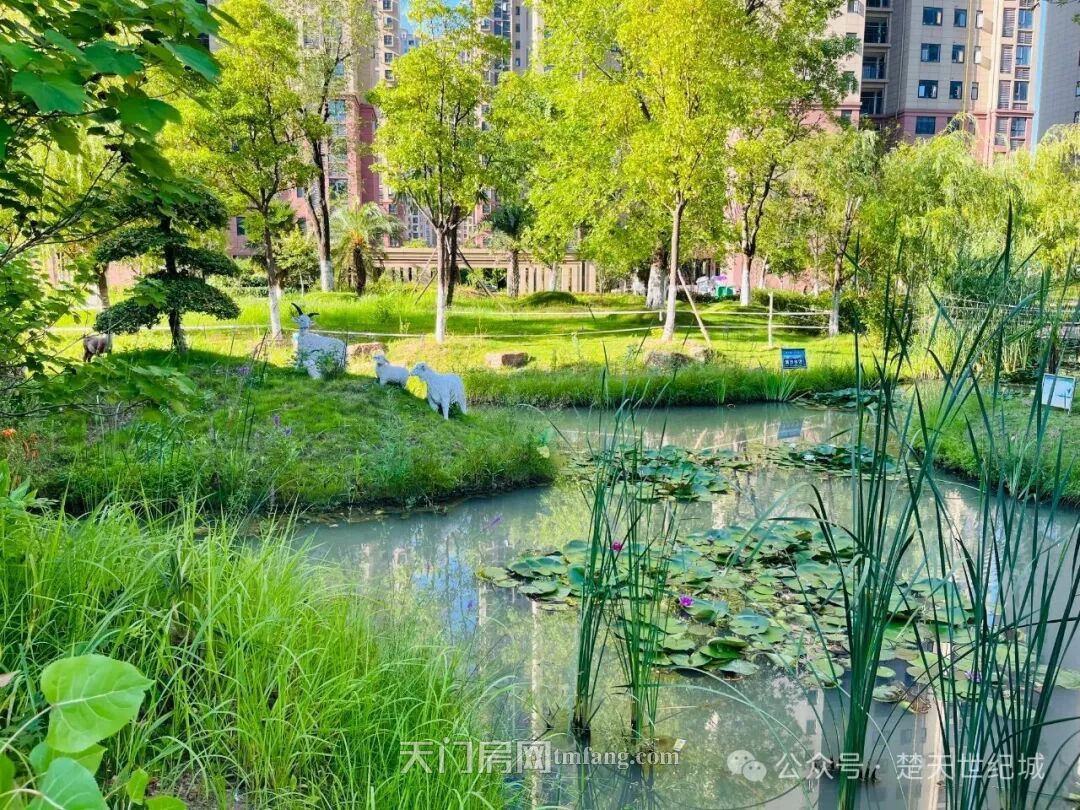 遇见岁月静好：安家在宏大而典雅的宜居大城