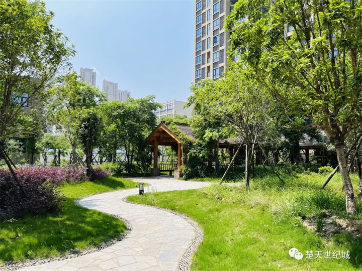 好漂亮的小区，看看去！