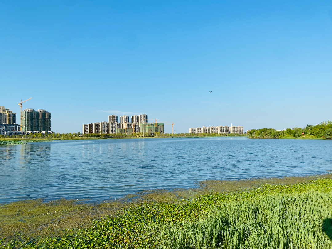 成交楼面价1101元/m²，天门这个区域热度持续飙升！