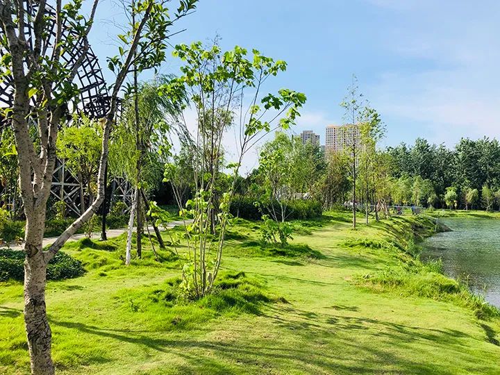 碧水园·锦城丨与公园为邻，让鲜氧唤醒生活的诗与远方