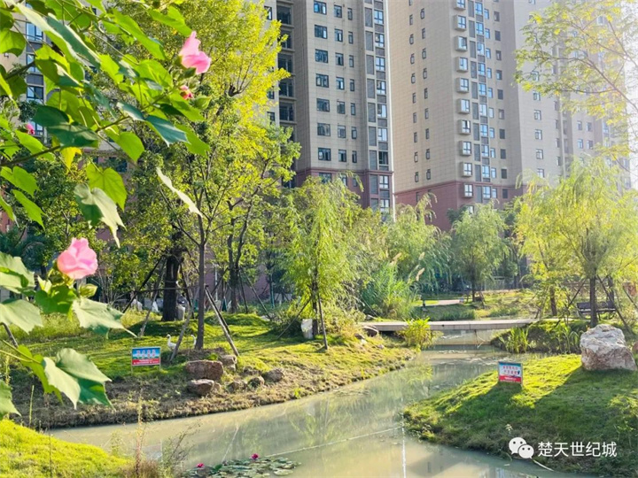 ​楚天世纪城二期西区新品，铸就天门城东人居典范之作