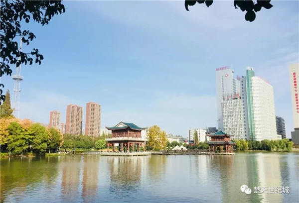 楚天世纪城：可以衡量价格，无法衡量价值