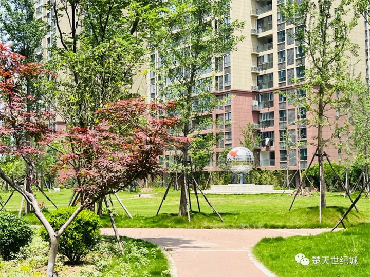 寻一处优雅人居，邂逅清风与阳光